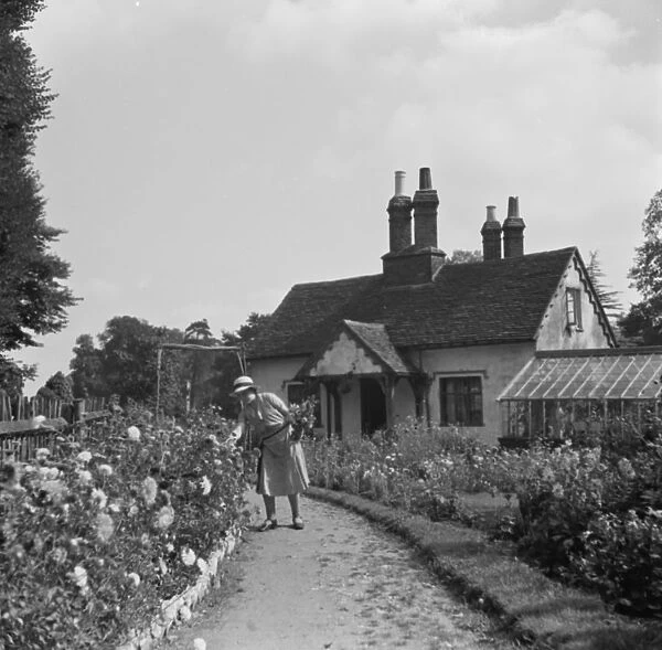 300 year old cottage in Foots Cray. 1936
