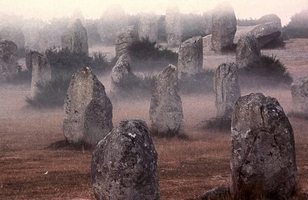Some of the 5, 000 menhirs at Carnac, Morbihan, Southern Brittany, France