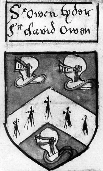 Arms of Owain Tudor Owen Tudor (1400-1461) Born: 1400, probably on Anglesey, Gwynedd Royal