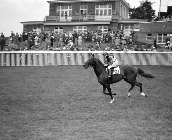 Artists Prince at Goodwood Racecouse. 1937