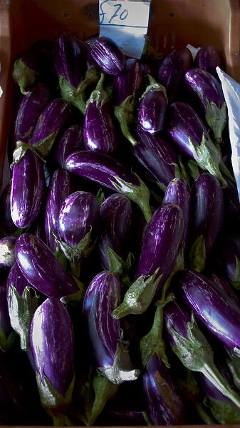 Aubergines on sale in roadside farm stall, southern Cyprus. credit: Marie-Louise