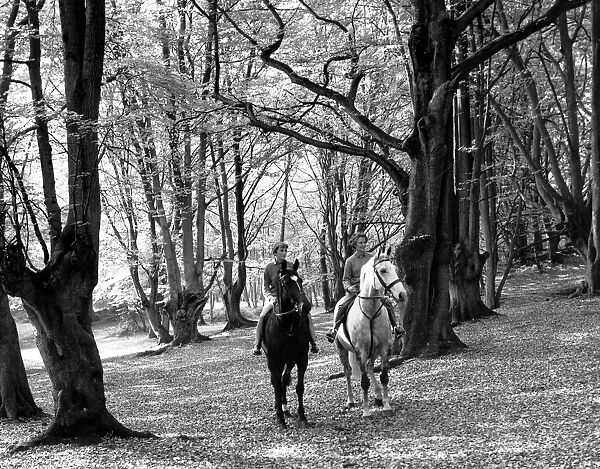 Autumn in Kent two riders pause to admire the huge carpet of leaves lying on the