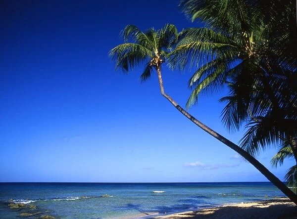 Beach on Barbados, West Indies