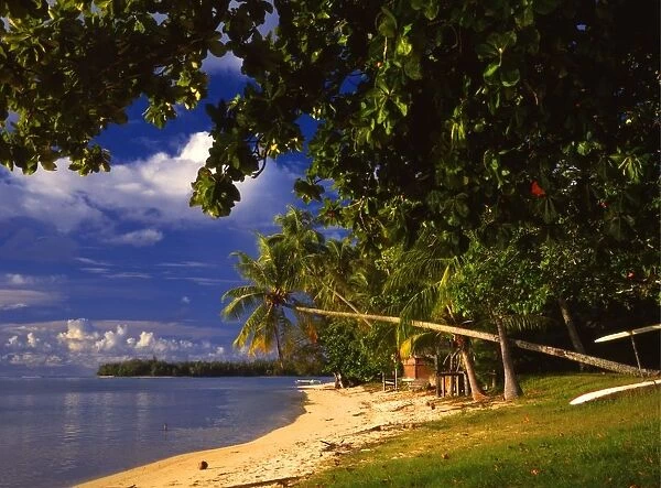 Beach on the island of Morea, off Tahiti