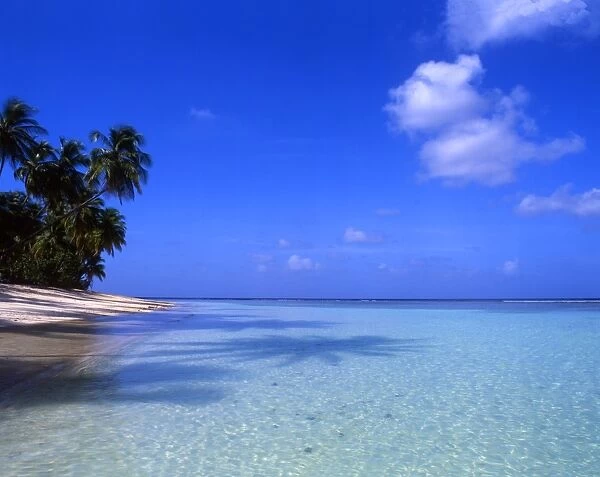 Beach on the island of Tobago, West Indies