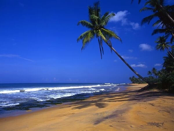Beach near Welligama, on the island of Sri Lanka