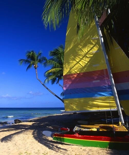 Beach scene, with sails and palms, Antigua, West Indies