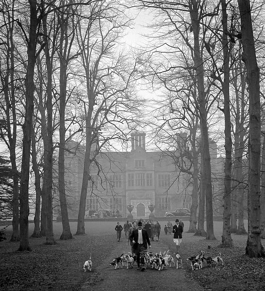 Beagles at Chilham Castle Canturbury Kent January 1953