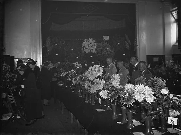 Blooms on show at the Orpington Horticultural Show. 1937