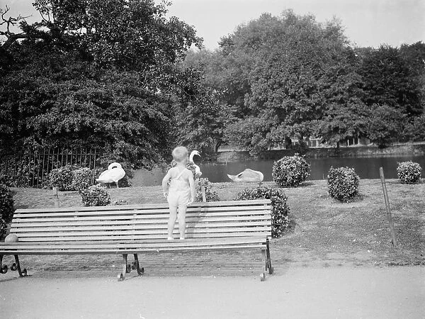 A boy watches the swans in Dartford park. 24 August 1937