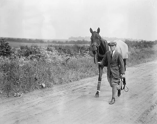 Brownhylda The racehorse. 3 June 1924