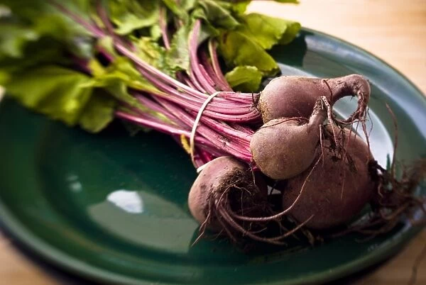 A bunch of freshly dug, whole beetroot on dark green plate. credit: Marie-Louise