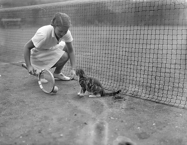 Cat with tennis ambitions chased Senorita Lizana s ball. Senorita Anita Lizana