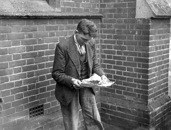 A catch of dead flies from a church in Swanley, Kent. 1934