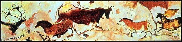 CAVE PAINTINGS Reconstruction of the prehistoric paintings of animals of one of the