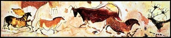 CAVE PAINTINGS Reconstruction of the prehistoric paintings of animals on one of the