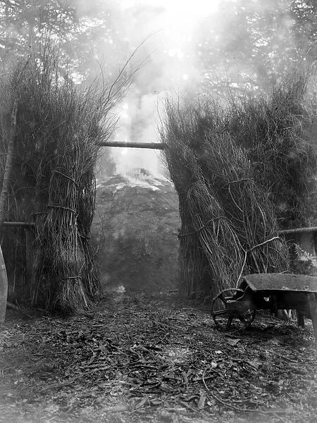 Charcoal burning for the trenches in the New Forest