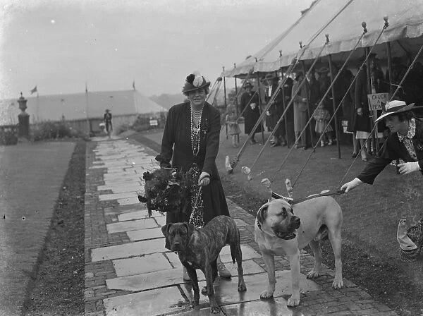The charity Lifeboat fete in Scadbury, Kent. Mrs Marsham Townshends and her dogs
