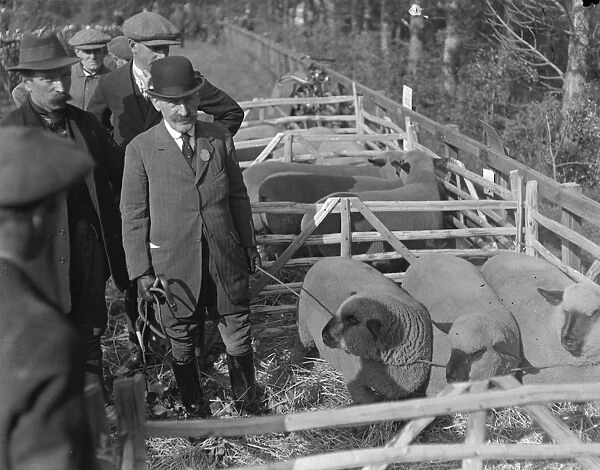 Chertsey Agricultural Show. Sir Edward Stern with his First Prize sheep. 11 October