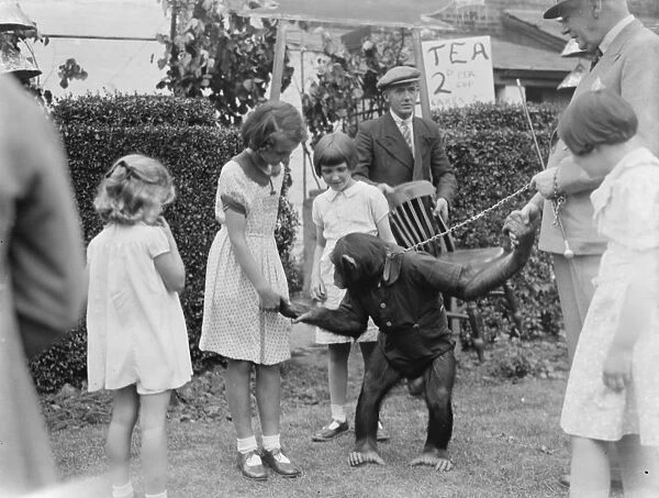 Children at the Dartford Carnival shake hands with a chimpanzee. 1937