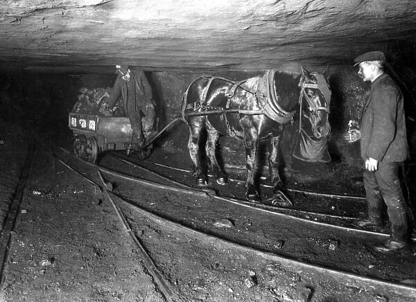 Coal mining with a pit pony