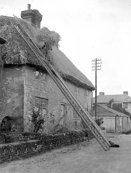 The craft of thatching - The thatcher at work on a picturesque Cottage at Amberley, Sussex
