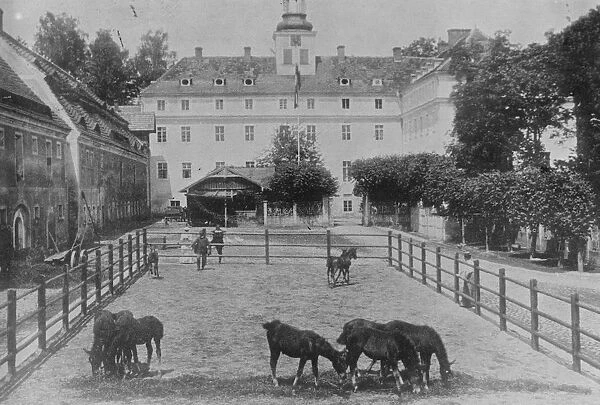 Crime In a Castle Kleppelsdorf Hunting Chateau at Laehn, the courtyard of the castle