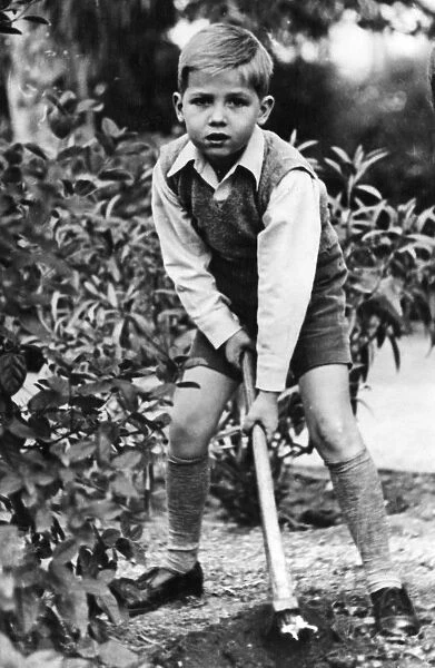 Crown Prince Constantine of Greece aged 6, digging in the garden of the Royal Palace
