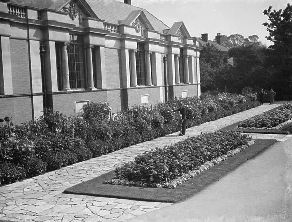 Dahlia beds at Dartford Central Park. 1936