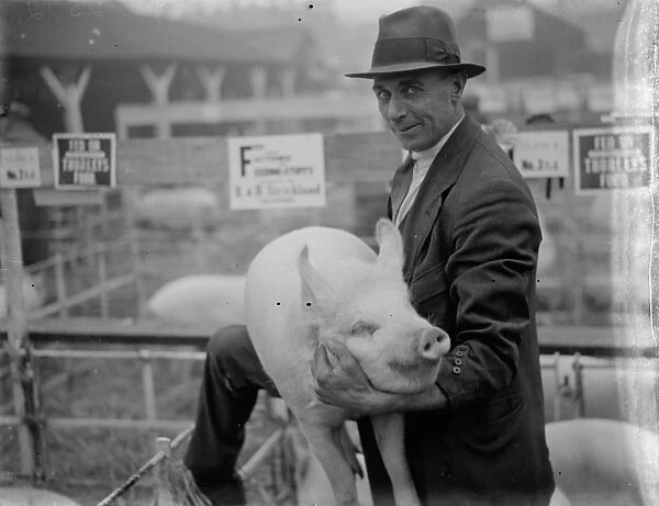Dartford fat stock show. A man proud of his pig. 1935