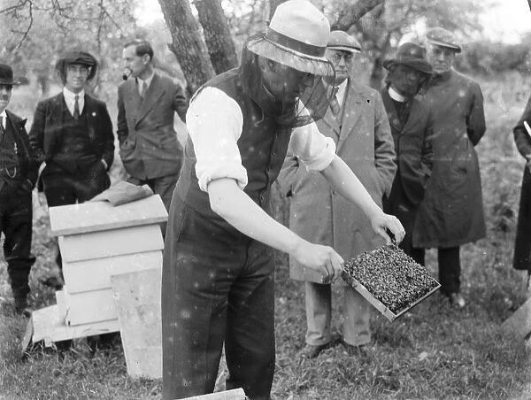 Demonstrating bee keeping, the Reverend D L Bryce. 1935