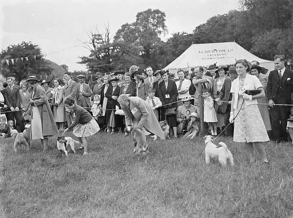 Dog show in the ring. 1939