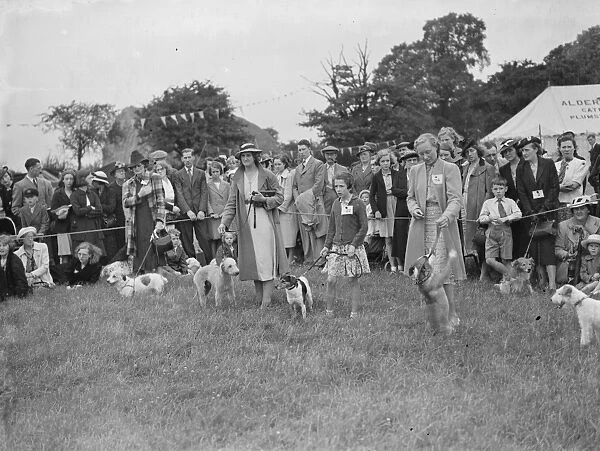 Dog show in the ring. 1939