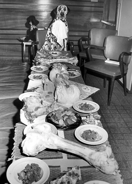 A Dogs Dinner, 19th August 1963 In honour of his first birthday, dalmation Shawclough