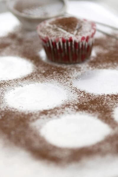 Dusting chocolte muffins with cocoa powder credit: Marie-Louise Avery  /  thePictureKitchen