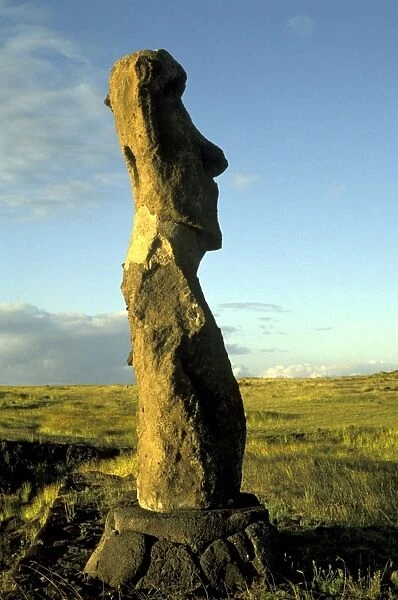 EASTER ISLAND - One of the upright giant statues near the ancient volcanic quarry
