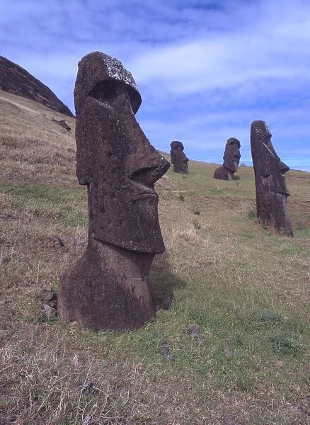 Easter Island A few of the upright giant statues near the ancient volcanic quarry