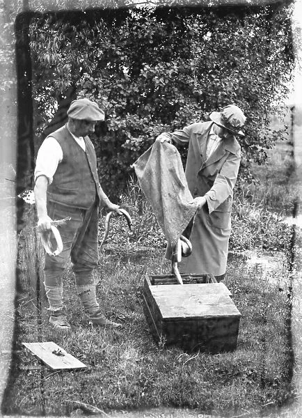 Eel fishing on the Hampshire river Avon 18 August 1920