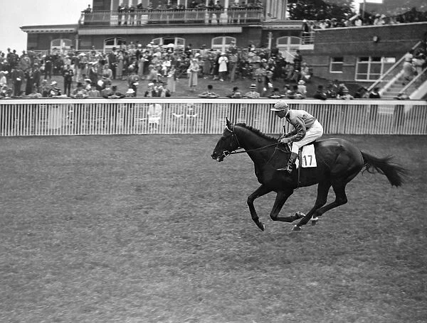 Epigram at Goodwood Racecourse, Sussex, England. 1937