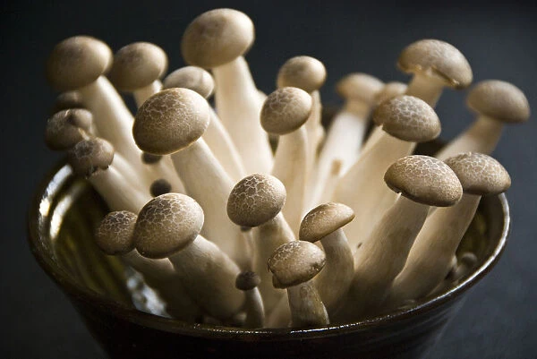 Exotic cultivated mushrooms - Brown Clamshell credit: Marie-Louise Avery  /  thePictureKitchen