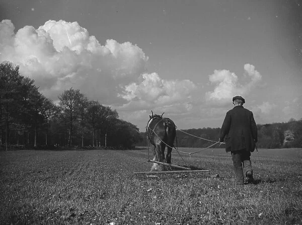 Farm worker hoeing a field with his horse in North Cray, Kent. 1939