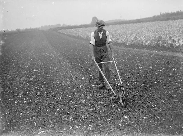A farm worker using a hand harrow in a large field. 1935
