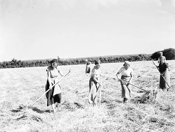 Farm workers in Farningham making hay. 1935