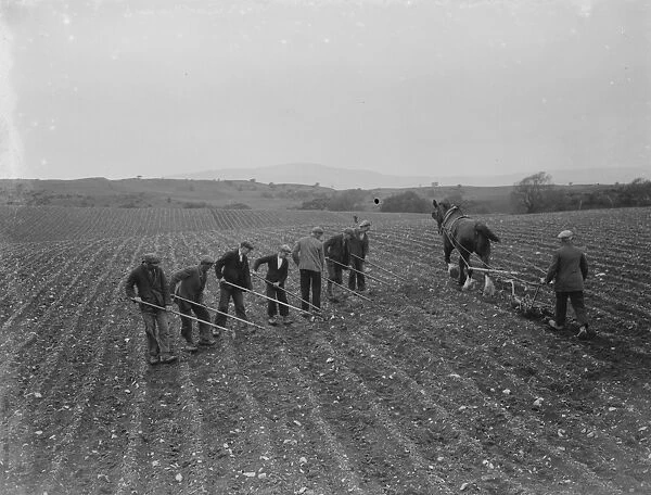 Farm workers hoe a field by hand in Scotland while another worker ploughs the field