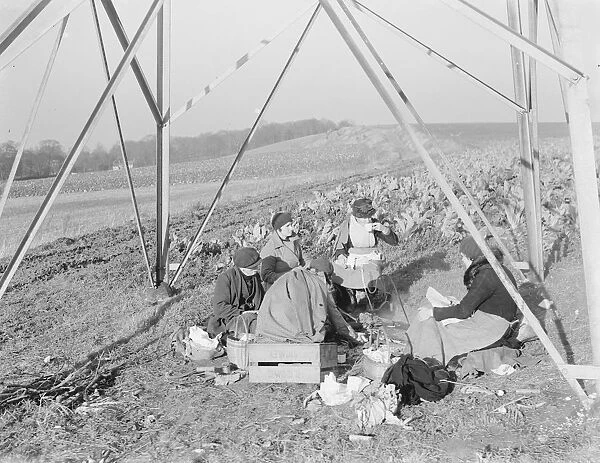Farm workers sitting under a pylon, eating their lunch. 1936