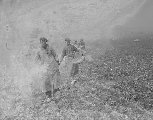 Farm workers spreading bone fertilizer on the fields in St Mary Cray, Kent. 1936
