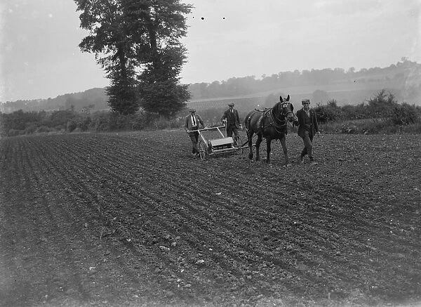 Farm workers using a horse drawn seed drill. 1935