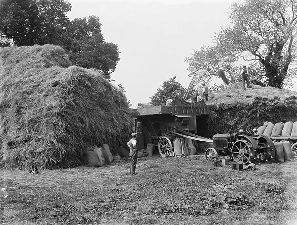 Farm workers at work using a portable steam engine and belt-driven threshing machine