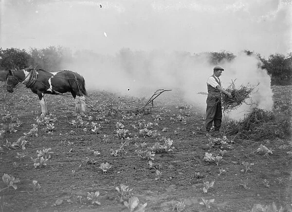 A farmer burning rubbish in a field 1935