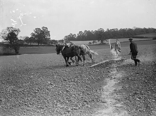 A farmer harrows a field with his team of horses over a footpath throught the field